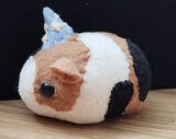 Magic guinea pig