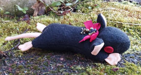 Rat